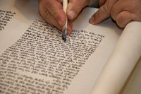 More letters are added to our new Torah scroll